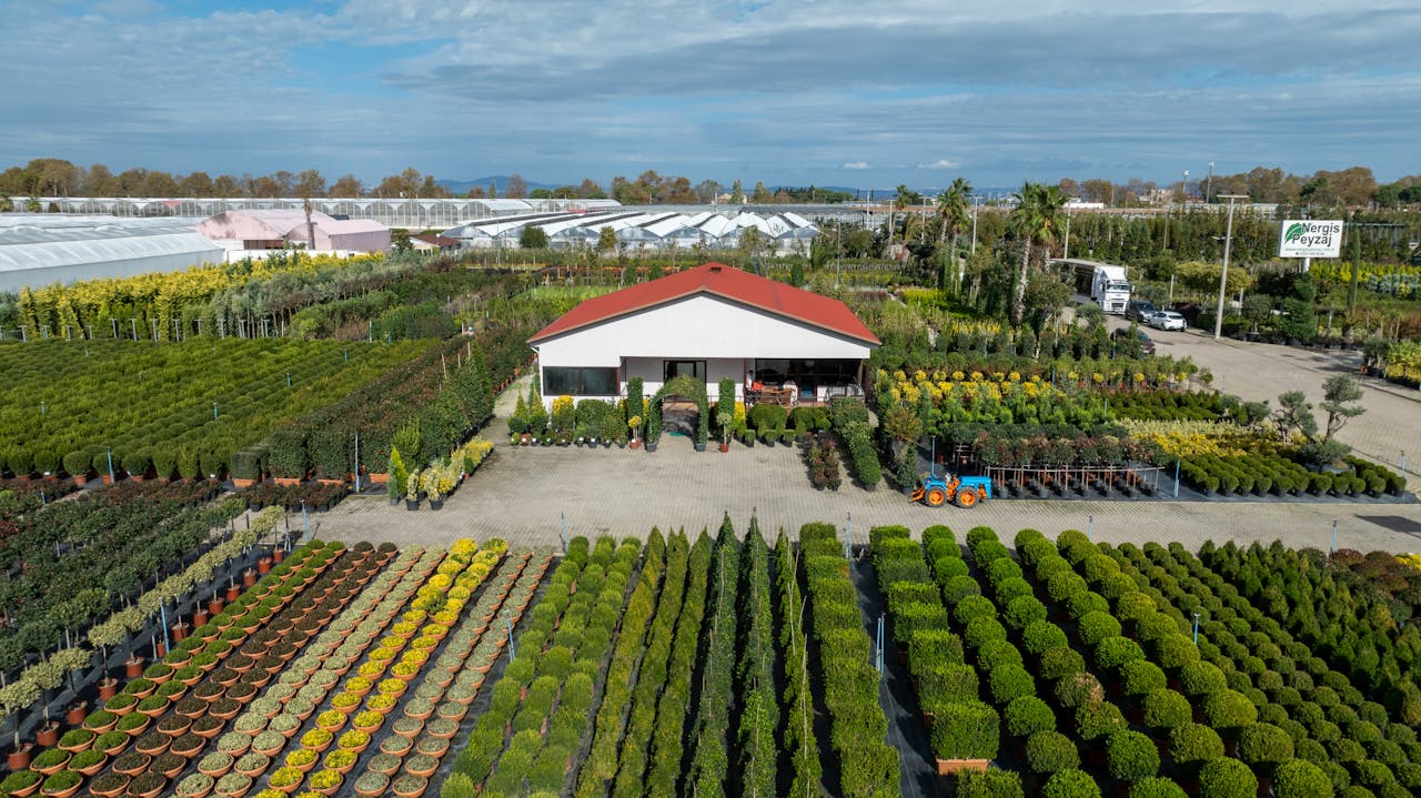 Peyzaj bahcesi ve fidanliklar - Akhisar peyzaj uygulama alani